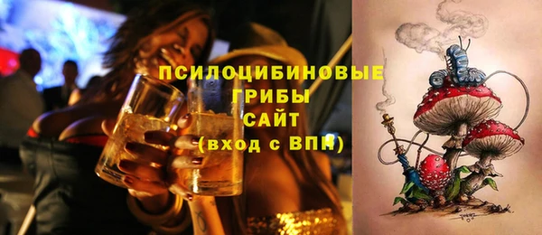 мяу мяу мука Баксан