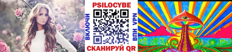закладка  Мышкин  Галлюциногенные грибы Magic Shrooms 